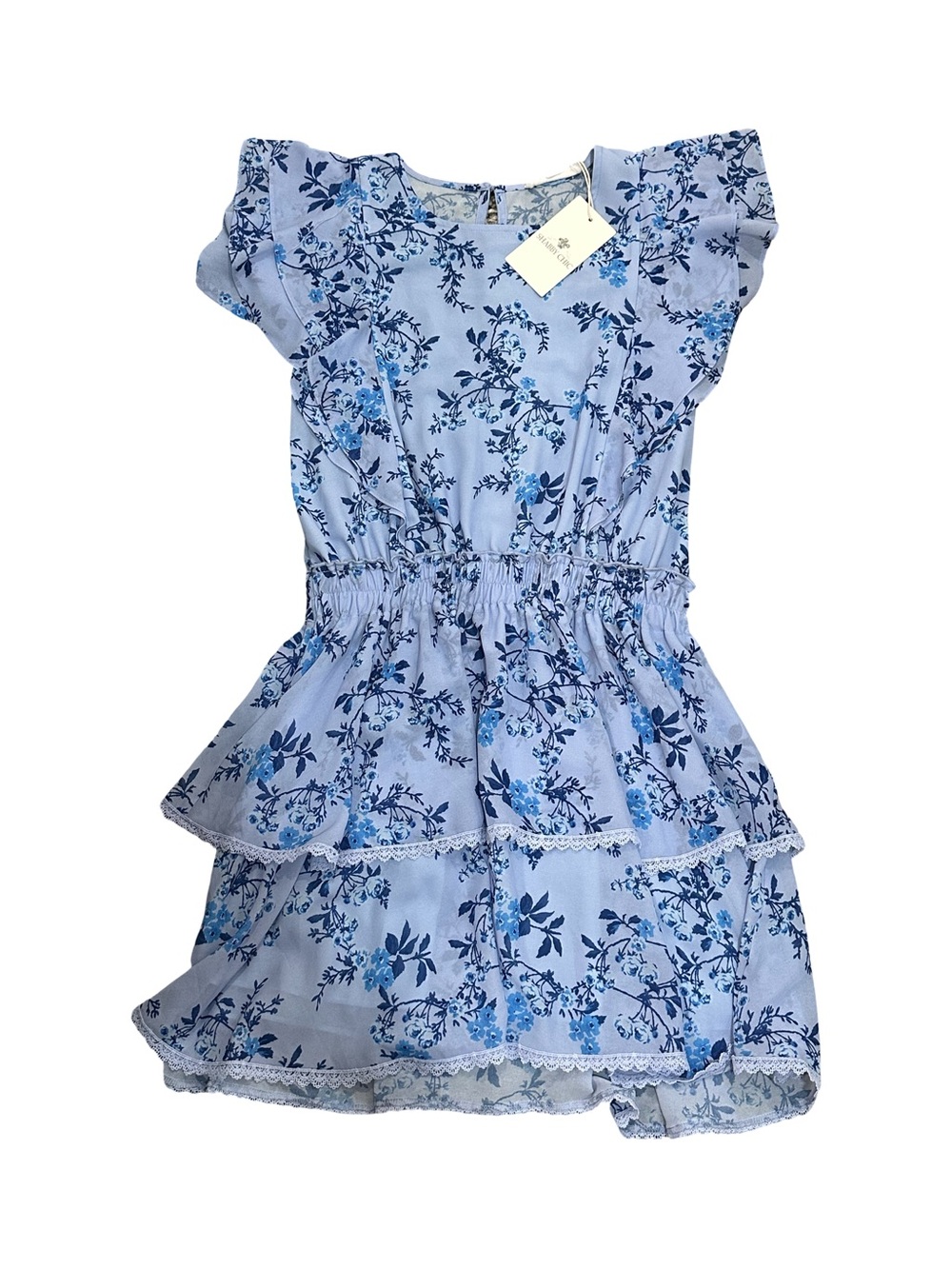 NWT Shabby Chic “Georgia” Women’s Large Light Blue Floral Tiered Dress